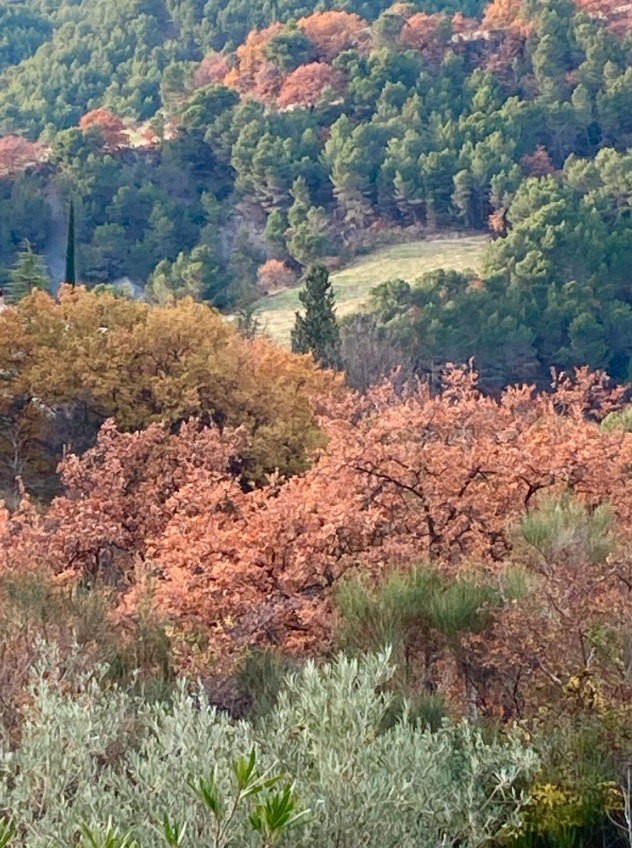 Stage peinture décorative en Provence