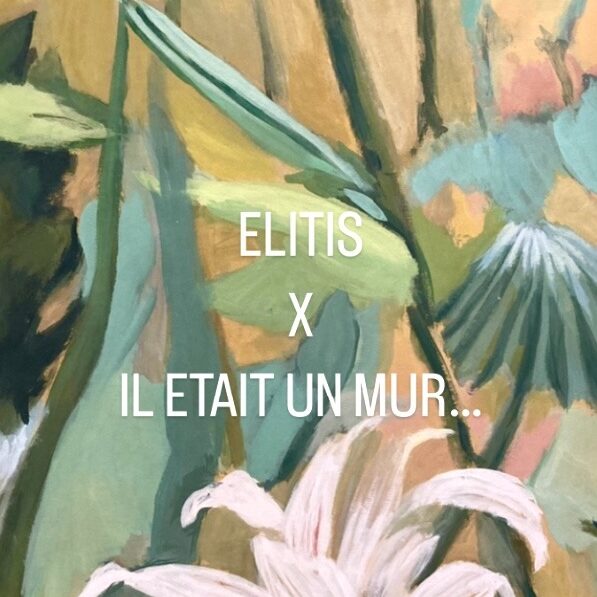 Collaboration Elitis et IL était un MUR ...