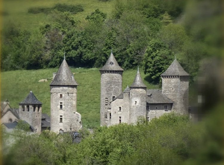 chateau de Saint Saturnin